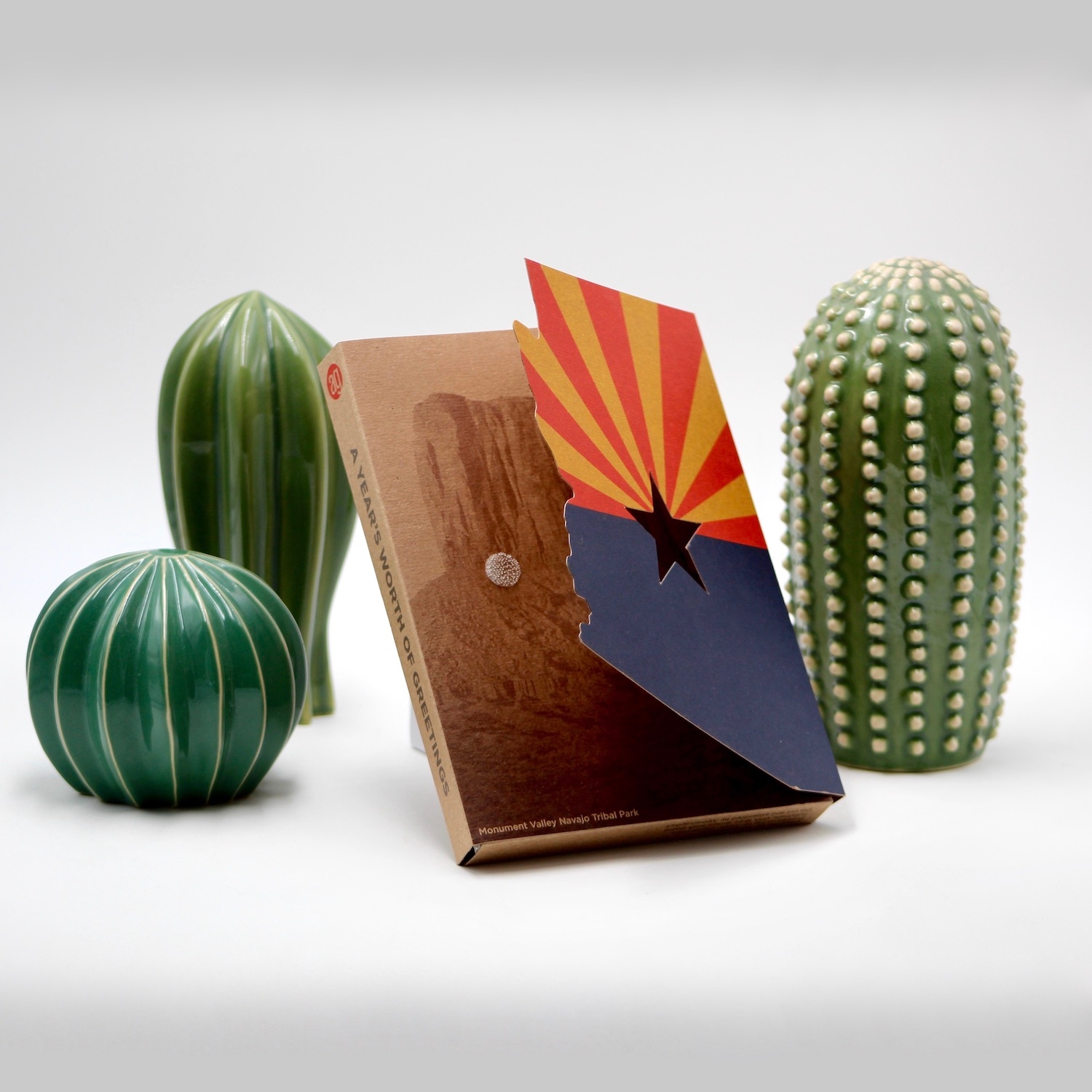 Cactus and book
