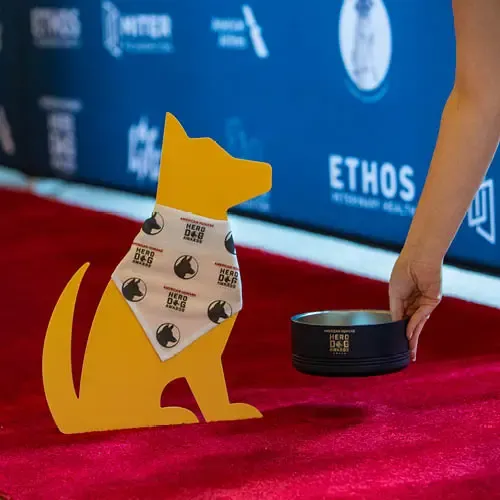 A cardboard dog wears an American Humane banner and a hand places an American Humane water bowl in front.
